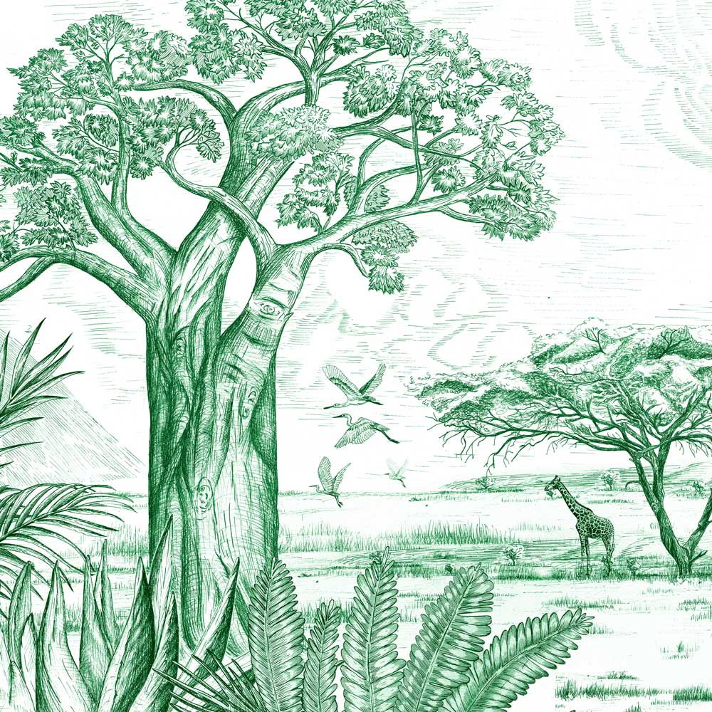 Africa cover