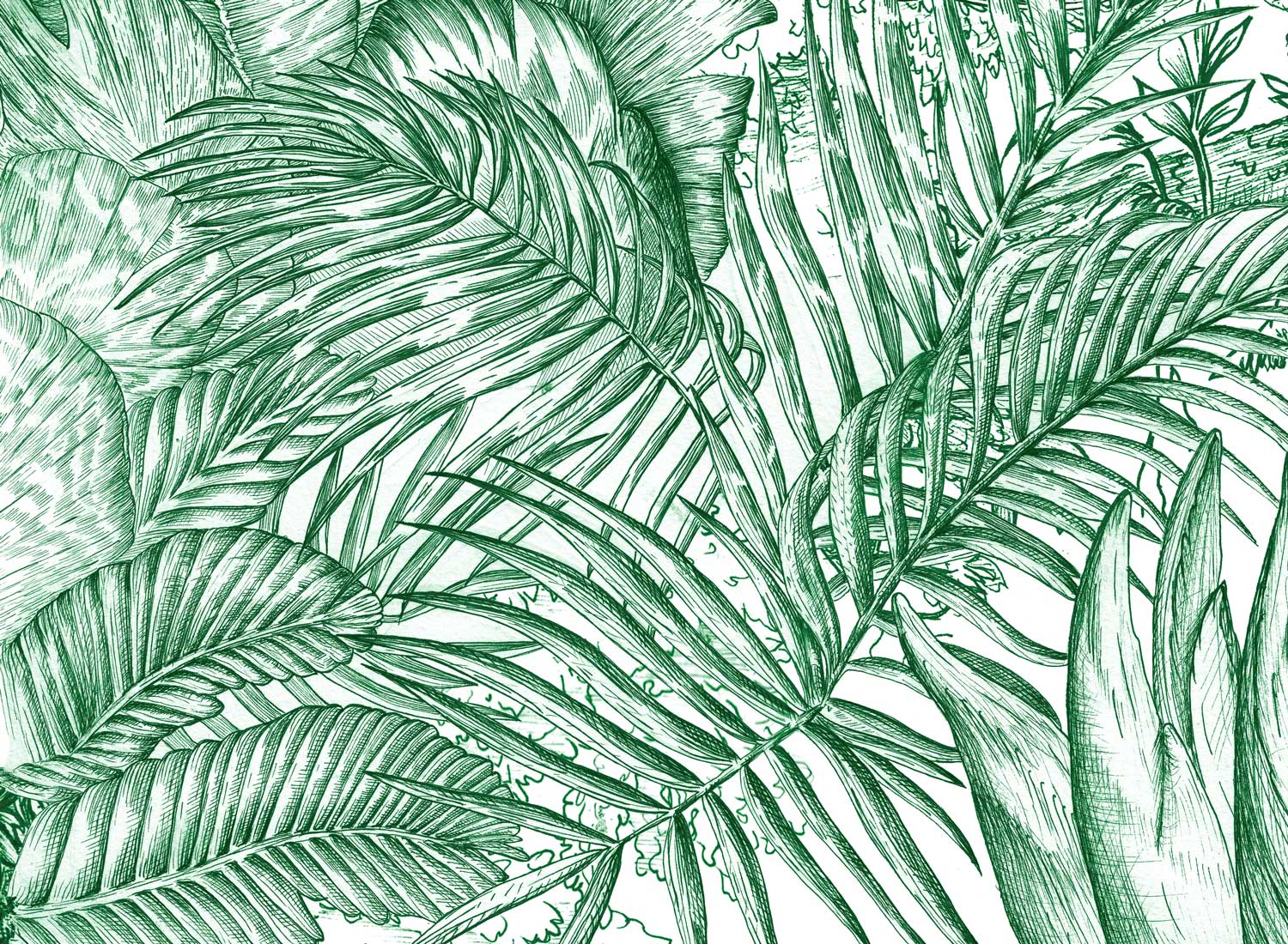 Illustration, africa illustration, jewellery visual identity
