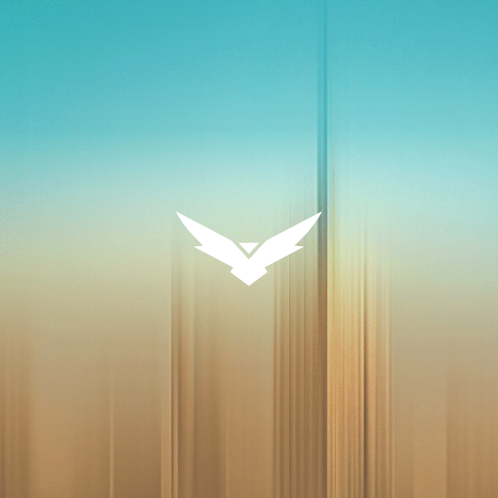 Falcon illustration gif square