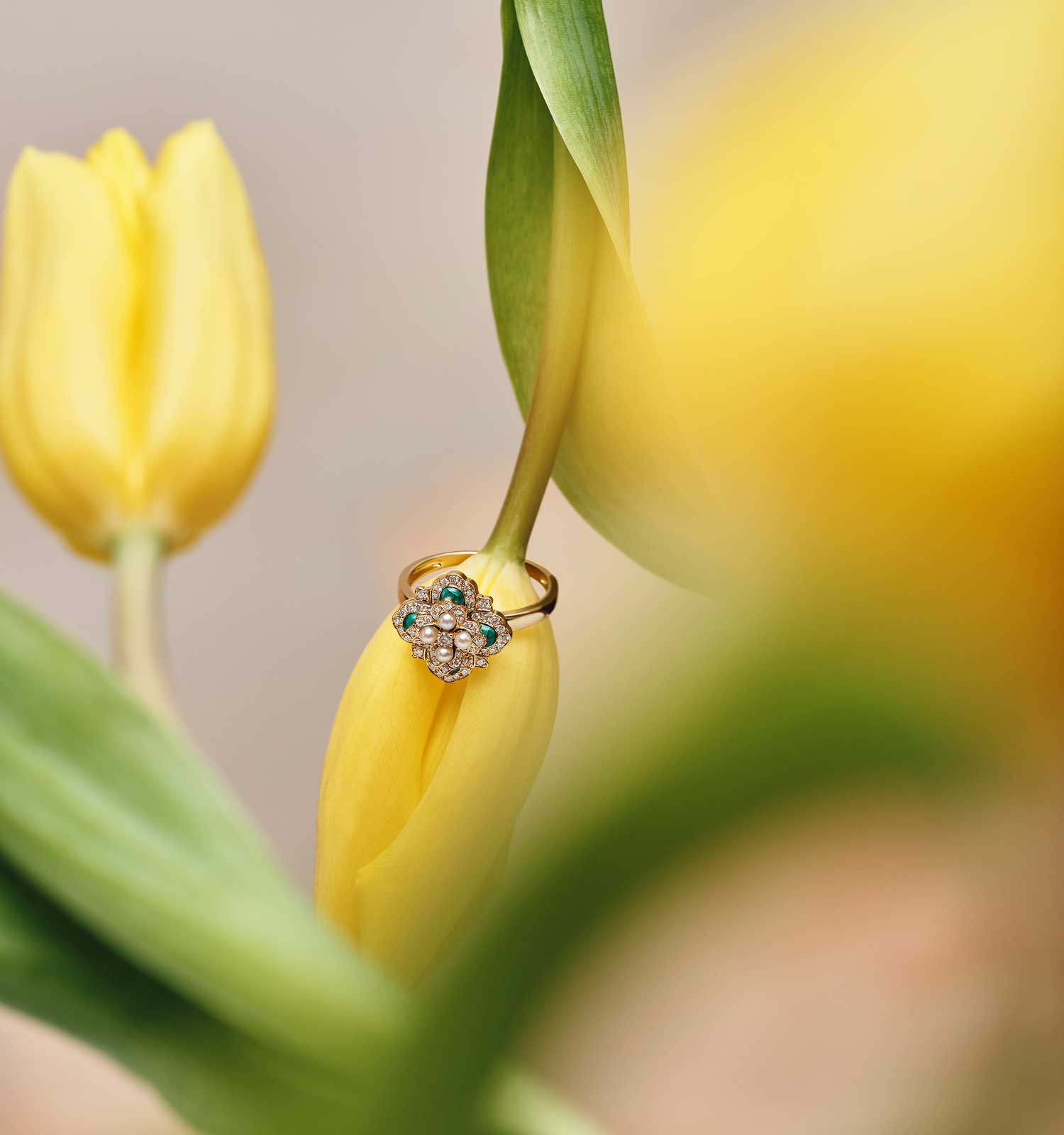 Branding for Al Mahmood Pearls, Instagram Visual Identity, Creative direction, Bahrain, GCC, jewellery photoshoot