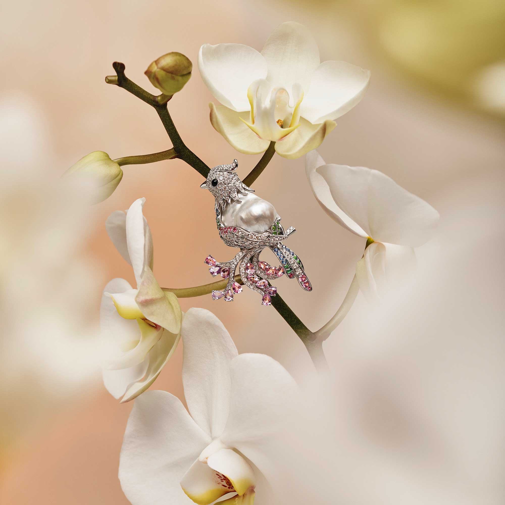 Branding for Al Mahmood Pearls, Instagram Visual Identity, Creative direction, Bahrain, GCC, jewellery photoshoot